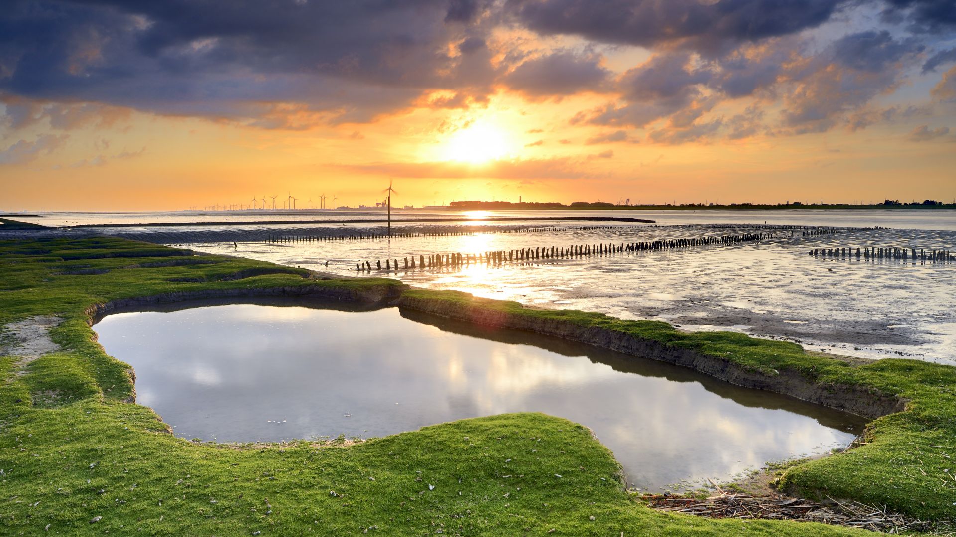Dollern: View of the sunny mudflats in the Lower Saxony Wadden Sea National Park