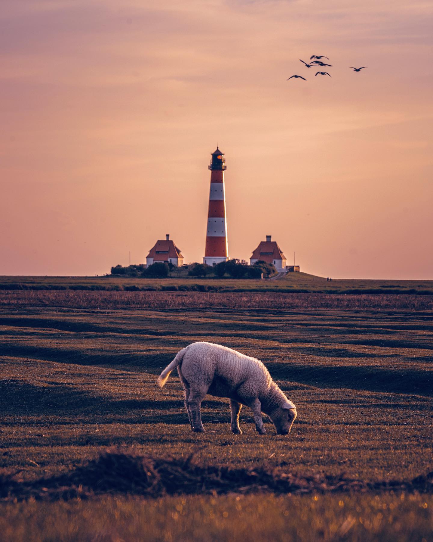 Westerhever lighthouse