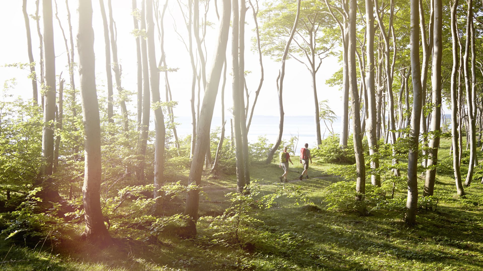Jasmund National Park: couple hiking